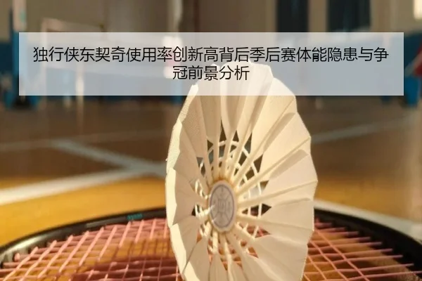 独行侠东契奇使用率创新高背后季后赛体能隐患与争冠前景分析