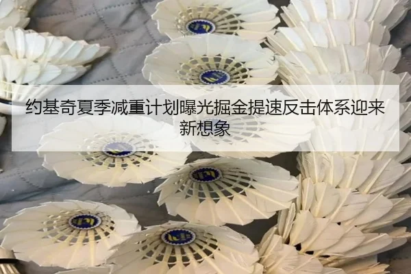 约基奇夏季减重计划曝光掘金提速反击体系迎来新想象